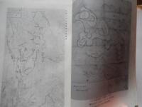 北条氏照とその周辺 北島藤次郎著　平成3年初版カバー　
    出版社 鉄生堂書店
    ページ数 405p 

八王子開市400年記念出版　北条氏滅亡の前夜、火の海と化して落城した八王子城にまつわる史実、武将氏照とその周辺をくまなく描く一大歴史書。
