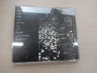 野崎美波フィルムワークスVol.1minami nozaki 
野崎美波が映画用に作曲した楽曲を集めたアルバム。2006年1月公開/唯野未歩子監督/脚本 映画『三年身籠る』をはじめ、浜本正機監督映画『僕と彼女の×××』他、のべ10作品から選曲。
サンプル盤