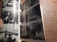 新ポケット温泉案内
出版社 日本交通公社
    刊行年 昭39年重版
    ページ数 383p 図版 地図
    サイズ 18cm 