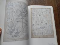 牧野富太郎と植物画展 : ボタニカルワールドへのいざない　展覧会チラシ付　小田急美術館　大阪市立自然史博物館　展覧
The World of Makino's Botanical Illustrations 「牧野富太郎と植物画展」図録 : ボタニカルワールドへのいざない
 高知県立牧野植物園,毎日新聞大阪本社文化事業部編
    出版社 毎日新聞社
    刊行年 2001
    ページ数 213p
    サイズ 30cm 
日本が世界に誇る植物学者・牧野富太郎博士は，95年の生涯のすべてを植物研究に
捧げました．全国の山野でフィールドワークを行い，2500もの新植物に名前をつけま
した．日本の「植物学の父」と呼ぶにふさわしい人です．
　牧野博士は，また，植物画の名手でもありました．精密かつ力強い筆使いで，植物
の「種」としての典型の表現をめざした図で，その画法は「牧野式」と呼ばれました
．植物を最もよく知る植物学者によって描かれた図には，みずみずしい生気が宿り，
学術的価値に加えて，美術的にも高く評価されています．
　本展は，高知県立牧野植物園が所蔵する牧野博士の植物画をはじめ，博士の植物画
コレクションの他，博士の遺品やエピソードを通じて，牧野富太郎の人間的魅力を紹
介。【主な展示品】
1．牧野富太郎の植物図　約150点
2．関根雲停，山田壽雄，服部雪斎，渡邊鍬太郎など幕末から明治の画工たちの作品
　約50点
3．牧野富太郎の遺品や生涯を物語る資料　「臍の緒袋」から「愛用の採集用具，観
察用具」，「競売通知書」，「妻，壽衛との手紙のやりとり」など，約100点
