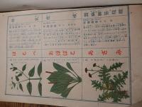 家庭実鑑実験薬草　 田口哲太郎
    出版社 日本薬草普及会
    刊行年 昭和4年発行
    解説 全25頁