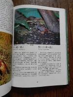 台湾的野生鳥類　留鳥　顔重威　台湾自然大系　渡假出版社　民国75 　