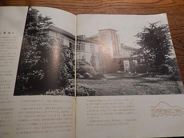 農林省林業試験場要覧 1955年 昭和30年 / 暢気堂書房 / 古本、中古本