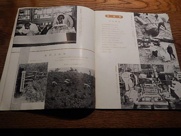 農林省林業試験場要覧 1955年 昭和30年 / 暢気堂書房 / 古本、中古本
