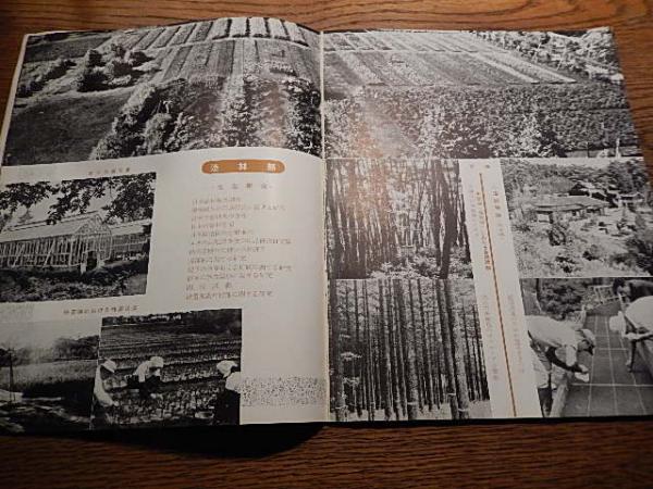 農林省林業試験場要覧 1955年 昭和30年 / 暢気堂書房 / 古本、中古本