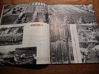 農林省林業試験場要覧　1955年　昭和30年
