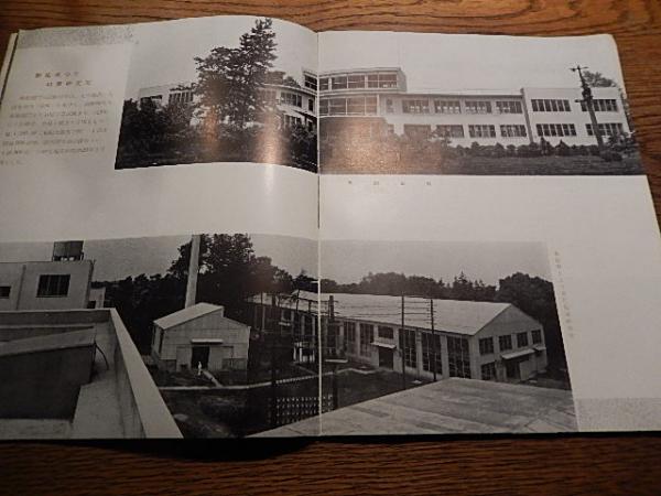 農林省林業試験場要覧 1955年 昭和30年 / 暢気堂書房 / 古本、中古本