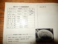 亀の井バス株式会社　沿線案内　182ｍｍ-135ｍｍ　18頁　別府