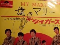 沢田研二　タイガース　直筆サイン色紙 タイガース直筆サイン色紙／沢田研二・森本太郎・岸部修三・加橋かつみ