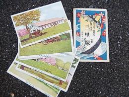 戦前絵葉書 千葉 三里塚 8枚タトウ 桜の名所 特製/宮内省下総牧場