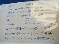 山本源右衛門作　三條西実臨書　元禄八年
加賀藩で珍重された書家山本源右衛門基庸(やまもとげんえもんもとつね)の書　37-25ｃｍ
