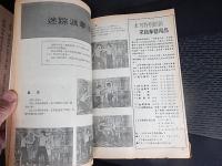 新武侠　234期　新武侠出版社　1979年