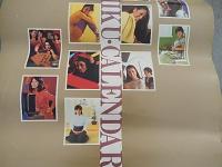 1981年　松竹カレンダー
表紙＋12カ月＝13枚
斉藤耕一＝撮影
サイズ　約４８X６９ｃｍ
1月＝倍賞千恵子
2月＝松坂慶子
3月＝藤真利子
4月＝桃井かおり
5月＝大竹しのぶ
6月＝神崎愛、友里千賀子
7月＝SKD　梓しのぶ、新井ひろみ、芹なずな、立花梨恵
8月＝早乙女愛
9月＝鮎川いずみ、本木紀子、一氏ゆかり、伊藤晶子
10月＝倍賞美津子
11月＝島田陽子
12月＝由美かおる
 状態説明 	表紙端に小切れ目、
全体的に小ジワあります。