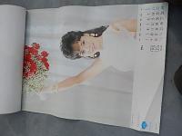 1984年松竹カレンダー/樋口可奈子・桃井かおり
1984年度版（昭和59年）松竹スターカレンダーです。掲載女優は以下、1月）松坂慶子、2月）大竹しのぶ、3月）中山貴美子、4月）桃井かおり、5月）神崎愛、6月）早乙女愛、7月）MIE、8月）樋口可南子、9月）かとうかずこ、10月）鮎川いずみ、11月）田中好子、12月）由美かおる、仕様はB2判カラー1月で1枚、表紙を含め13枚綴り。サイズ　約４８X６９ｃｍ