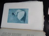 Le Ballet contemporain. by Svétlow, Valerian バレエ洋書　1912年フランス刊
Edition
    First French edition
Publisher
    R. Golicke et A. Willborg, 
Place of Publication
    St. Petersburg
Date Published
    1912

128頁と129頁の間のプレート1枚欠けています。経年のむれと頁外れがあります。岩崎雅通旧蔵サイン