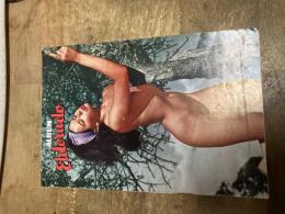 ALBUM ELDORADO Nr31 NATURIST MAGASIN FORLAGET STUDIA