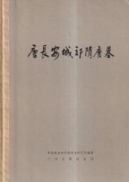 唐長安城郊隋唐墓
中国社会科学院考古研究所編著 1980 文物出版社 附図版104点 