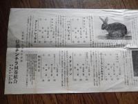 信濃チンチラ飼養組合カタログチラシ　　長野県下高井郡中野駅　アンゴラ兎　カスターレックス　ハバナレッキス　アーミンレッキス　ライラックレッキス　チンチラ兎　ニージーランドホワイト　イタリアン　54cm-20cm