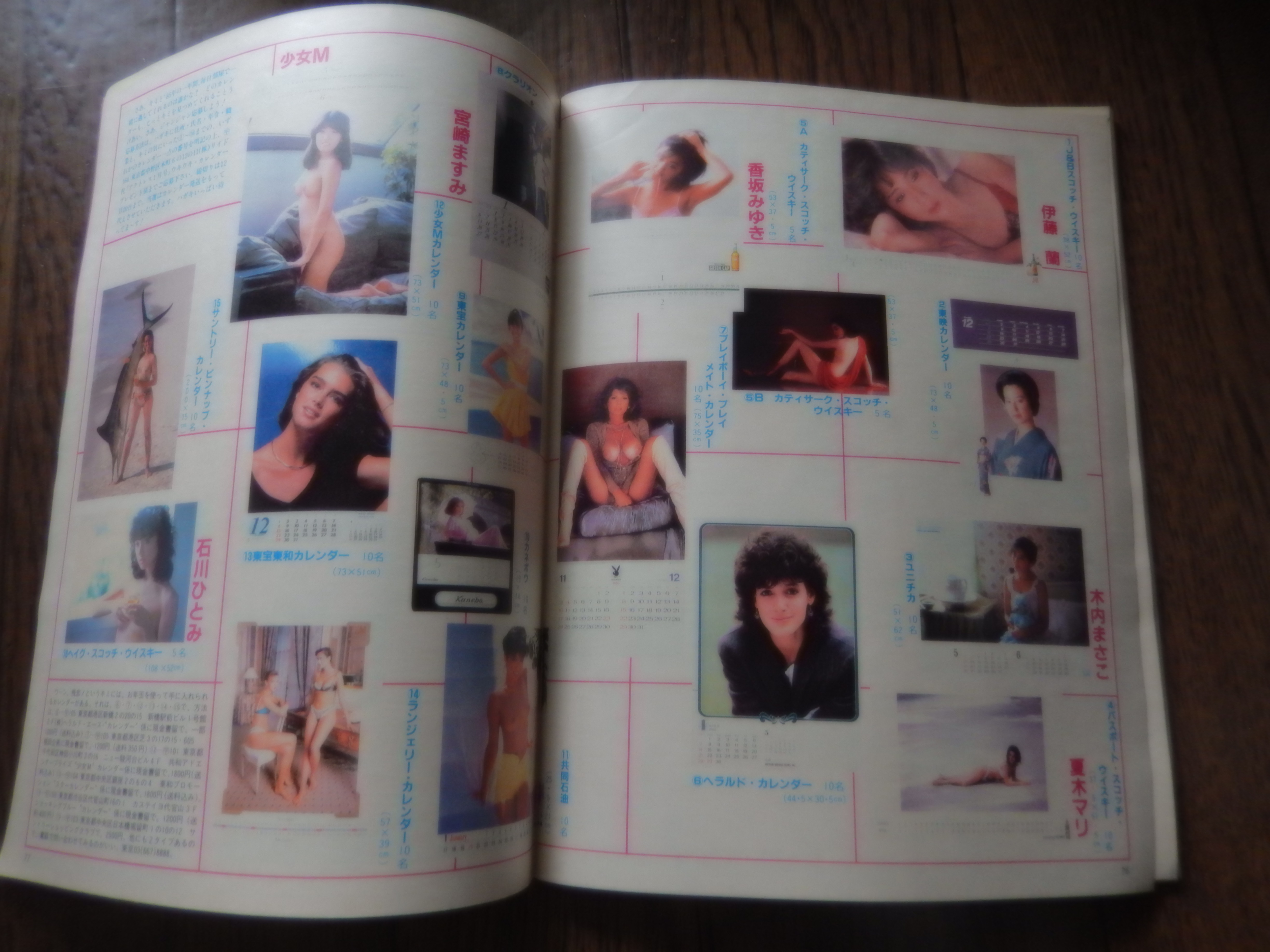 アクトレスパンティジャック アクトレス No.25 1985年1月号 アクトレス 出版社 リイド社 刊行年 昭和60年1月号、第4巻第1号 サイズ 27×20.7糎 冊数 1冊  解説 浜田朱里（表紙・巻頭グラビア）、宮崎ますみ、北原ちあき（ヌードグラビア）、豊田里沙（ヌードグラビア）、個室の中の天使たち、可愛かずみ ...