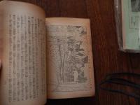 神奈川郷土史
岩科清次編輯
神奈川郷土史編纂所

1930発行

10,54p, 図版 19cm

