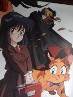 新ドリームハンター麗夢　ポスター　富樫じゅん 
■サイズB2　515 mm×728 mm
・ピン穴ありません
