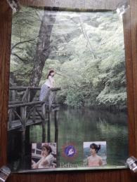 Perfume 1992 　林原めぐみ　B2ポスター 