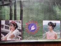 Perfume 1992 　林原めぐみ　B2ポスター 