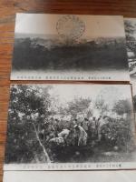 明治四十二秋季　東北陸軍特別大演習記念　絵葉書　7種　記念印