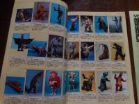 VOLKS ORIENT HERO CATALOG '92　全120頁

VOLKSのORIENT HERO CATALOG '92は、1992年に発行されたフィギュアのカタログ。多彩なキャラクターやモデルが掲載、コレクターにとって貴重な資料となっています。
様々なフィギュアの写真が掲載されており、特に1/100スケールシリーズが特徴的です。各フィギュアの詳細情報も記載されており、購入を検討する際に役立ちます。

