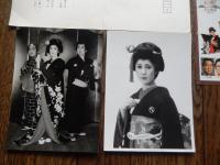 1981年代新宿コマ劇場・水前寺清子特別公演　B5チラシ　宣材企画書5頁　新宿コマ劇場宣伝部　宣材生写真2点セット

水前寺清子特別公演 :  チータ大暴れ・花吹雪振袖吉三/ヒットパレード・艶歌さすらい情話　
