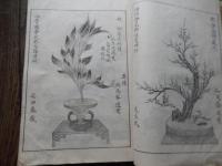 花道家元　未生流　挿花美術之詠 広誠庵源甫 編
    出版社 肥原政右衛門
    刊行年 明治24年
    ページ数 54丁
    サイズ 26cm
中古品（並）
    解説 和装本　題箋いたみ

未生流は、未生齋一甫によって創流されました。三世未生齋一甫は、二世廣甫の長男安之丞が継ぎます。廣甫と同様に嵯峨御所に務め、法眼の号を許されて上田越後と称しました。在世中に明治維新が起こり、明治十年（一八七七）、華道の沈滞期に逝去しました。三世逝去後は未生流家元の後継者がなく、流の衰退を防ぐために二世の高弟が助け合って、懸命に流勢を維持しました。二世在世の当時から役頭１名、役者４名が最高幹部とされていましたが、広誠斎肥原源甫は、早くからその役職を歴任し、役頭として三世家元を後見していました。明治二一年（一八八八）、流内の信望が厚かった源甫が、空位のままであった家元に推されましたが、源甫はこれを固辞しましたので、源甫の高弟で大阪超泉寺住職の黒川義甫が、四世未生齋を継ぎました。広誠斎肥原源甫は、未生流家元の衰微というよりも、華道界全体が衰退していた時期に、各地の同門の人たちの支えとなって働きました。このように困難な状況においても、『錦の幣』（一八六四）、『開華の錦』（一八六七）などのすぐれた花図書を発行しました。それらに収載された剛毅な作風に、その人柄がしのばれます。肥原源甫は明治二六年（一八九三）、八二歳で亡くなりましたが、そのときには、四世義甫も病気で家元を辞退していて、翌二七年に逝去しました。未生流にとって悲報が続きましたが、同年四月、全国の師範代が大阪に集まり、源甫に未生齋を追諡して五世家元とし、以後肥原家をもって家元世襲を定めました。これは源甫の業績に報いる意味と、家元という流儀の中心機関が安定してない混乱期の師範代には、そうせずにはいられぬものがあったからです

