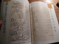 図解 皇乃子 真圧心療道 家庭でできる症状別治療法 (1988年) 中川信義・中川雅仁 さわやか出版社