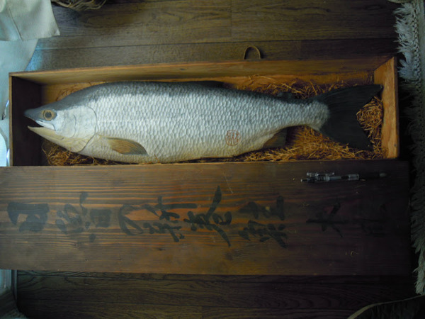 日魯の新巻鮭木彫彫刻 時代 アイヌ 工芸 鮭 在銘 彫刻士小池岩夫作