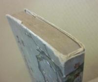 真説　石川五右衛門