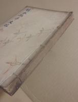 竹本摂津大掾  二代目越路大夫