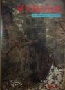 屋久島の自然　屋久島ガイド・ガイドマップ付