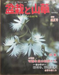 盆栽と山草　１９７９年　第３号　盛夏号　可憐な高山植物たち　石付き、草者盆栽