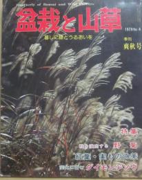 盆栽と山草　１９７９年　第４号　爽秋号　秋を演出する野菊　紅葉・実ものの実