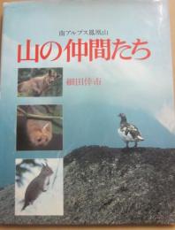 山の仲間たち　南アルプス鳳凰山　
