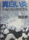 真白い炎　生命たちの知床半島