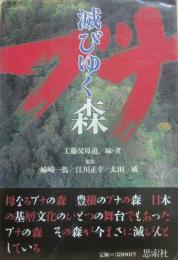 滅びゆく森　ブナ