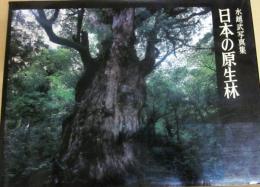 日本の原生林　水越武写真集