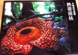 熱帯雨林　水越武写真集