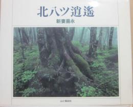 北八ッ逍遥  新妻喜永写真集
