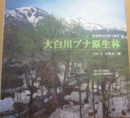 大白川ブナ原生林　世界的な自然の遺産