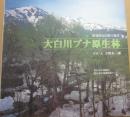 大白川ブナ原生林　世界的な自然の遺産