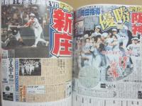 阪神の馬鹿力　デイリースポーツ紙にみるタイガースの栄光と迷走