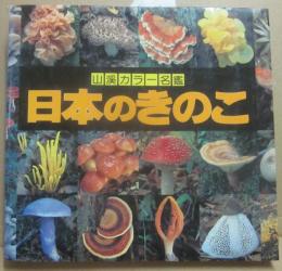 日本のきのこ　（山溪カラー名鑑）