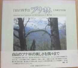 ブナ林　白山の四季２　上馬康生写真集
