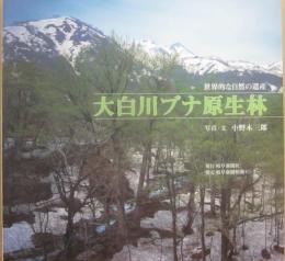 大白川ブナ原生林　世界的な自然の遺産